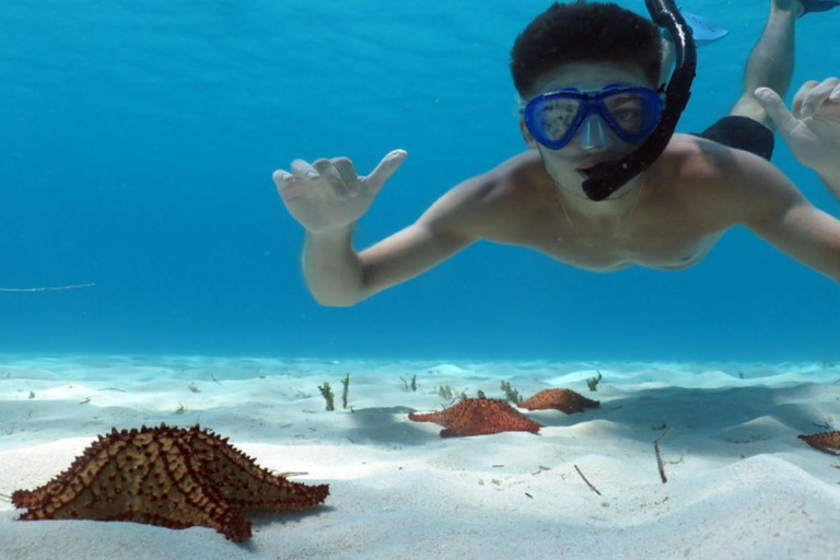 Avventura sull&#039;isola di Saona - Acque cristalline e sabbie bianche ti aspettano!