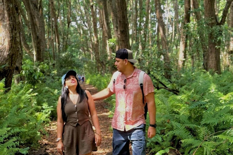 Wycieczka z delfinami Mnemba, las Jozani i restauracja The RockMiejsce zbiórki wyłącznie w Mnemba Transfer Point