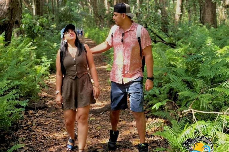 Wycieczka z delfinami Mnemba, las Jozani i restauracja The RockMiejsce zbiórki wyłącznie w Mnemba Transfer Point