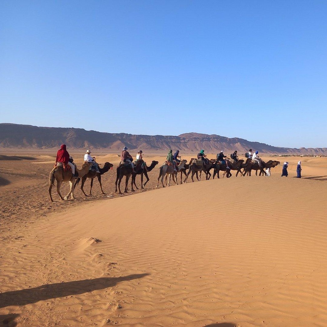 Excursion de 2 jours de Marrakech à Aït Ben Haddou et au désert de Zagora - dromadaire