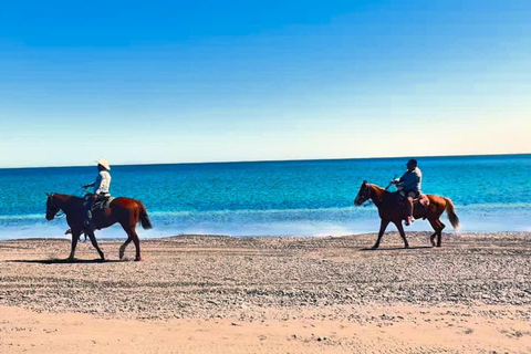 La Paz: Scenic Beach Horseback Ride