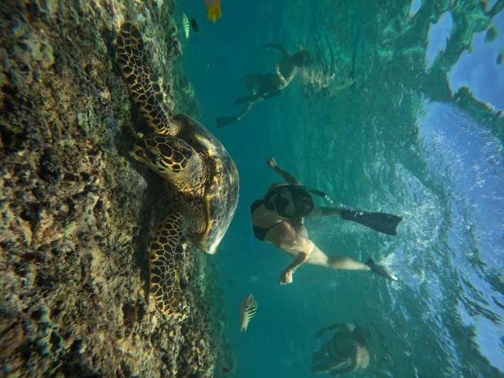 Plongée en apnée autour de 3 îles& visite des bébés tortues et de la statue