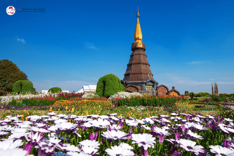 Chiang Mai: Doi Inthanon en olifantenopvang Tour &amp; Wandeling