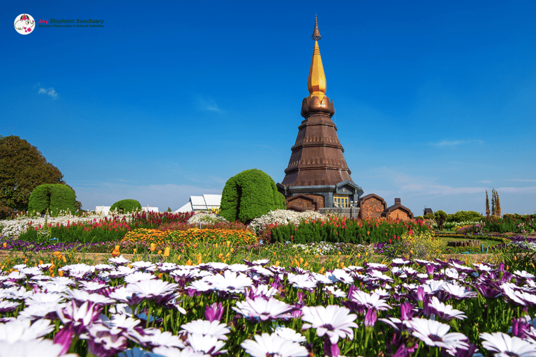 Chiang Mai: Excursão e caminhada ao Doi Inthanon e ao santuário de elefantes