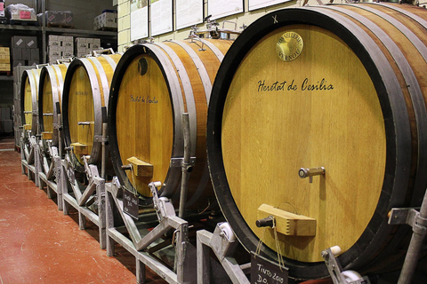 Alicante : visite d&#039;un domaine viticole (guide, vin, nourriture, transport)