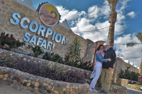 Hurghada: Quad and Buggy Safari with Dinner and ShowPickup from Hurghada City Hotels