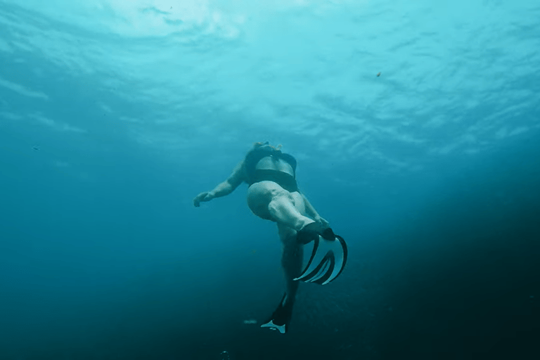 Cebu: Przygoda z nurkowaniem z rekinami wielorybimi w Oslob i Moalboal