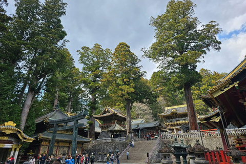 Nikko Private Day Tour with English Speaking Expert Driver
