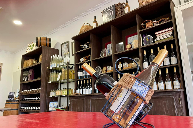 Albufeira, Olhão, Faro: visit to a vineyard, free time in Silves