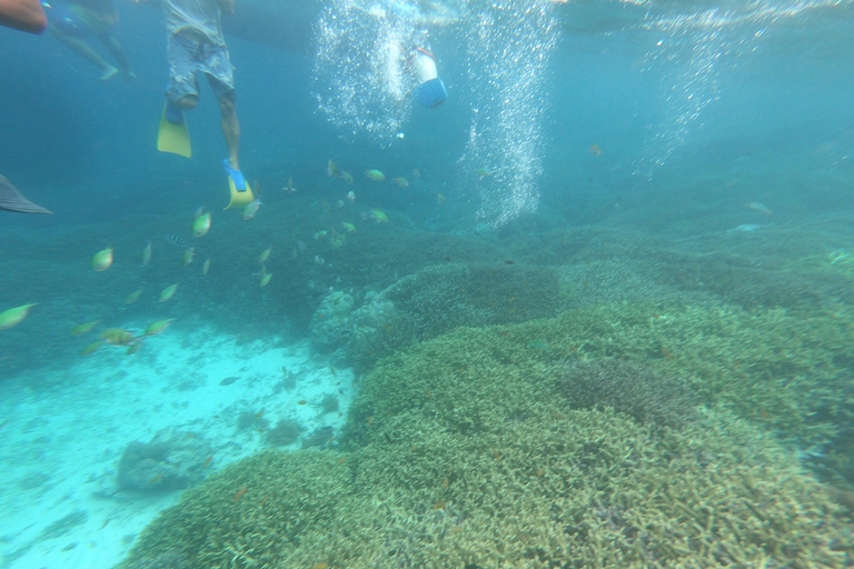 Dagtrip snorkelen Gili Layar/Gili Gede&amp;Gili Rengit