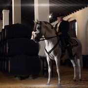 Jerez: Führung durch die Bodegas Álvaro Domecq mit Weinprobe