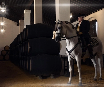 Jerez: Bodegas Álvaro Domecq Guided Tour with Wine Tasting