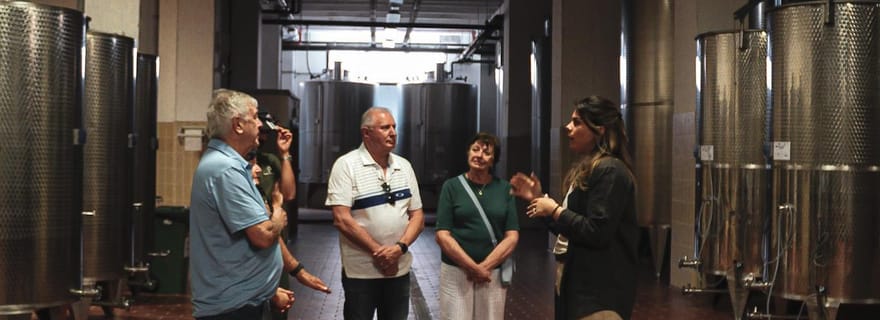 Tenute Girolamo : visite de la cave et dégustation de luxe dans la vallée d'Itria