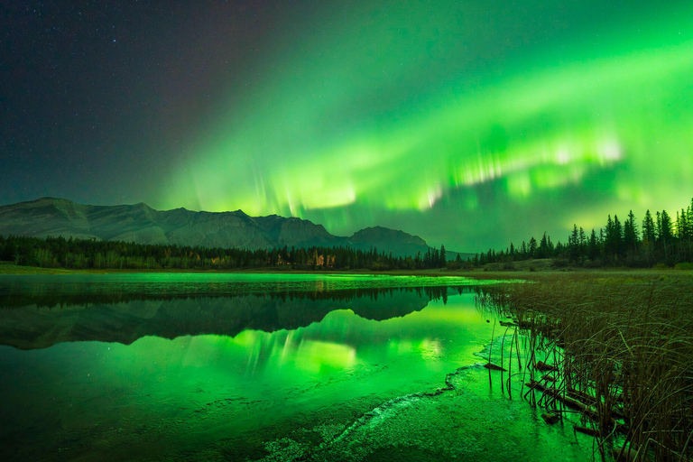 Banff/Canmore: PRIVATE Stargazing & Northern Lights Tour