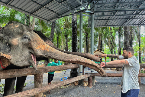 Krabi: Elephant Feeding Program Ao Nang: Elephant Feeding Program