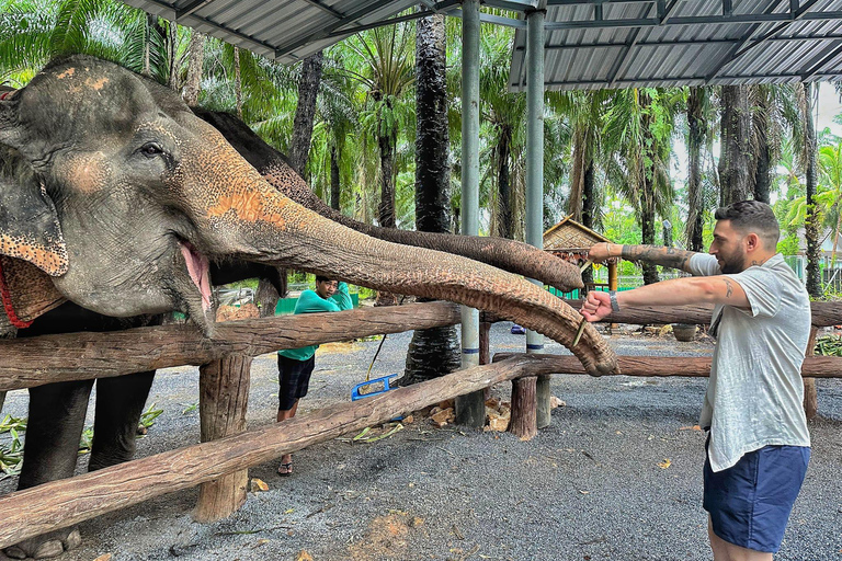 Krabi: Program karmienia słoniAo Nang: Program karmienia słoni