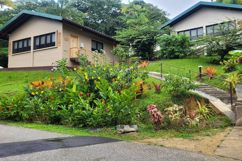 Trinidad: Asa Wright Nature Centre Bird Sanctuary Experience