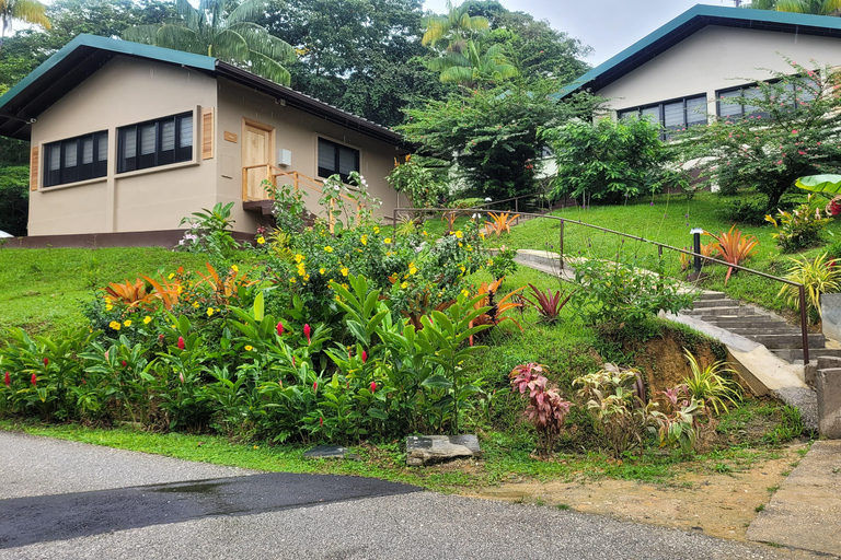 Trinidad: Experiencia en el Santuario de Aves del Centro Natural Asa Wright