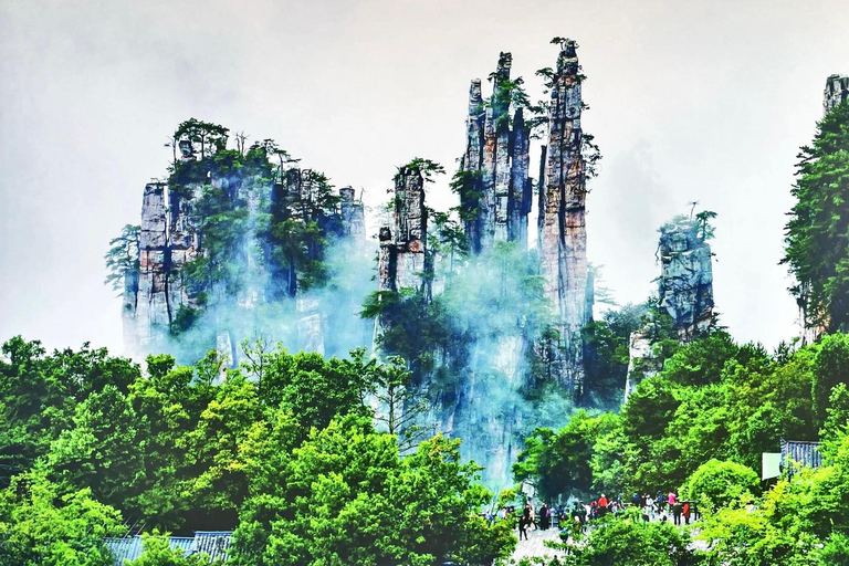 Zhangjiajie Private Day Tour: Rice Terraces,Elevator &Avatar Opt C: Private Transfer and Tour Guide – Downtown