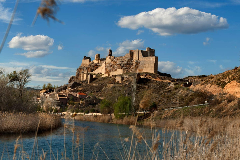 From Madrid: Cooking Class by a Castle in the Olive Groves
