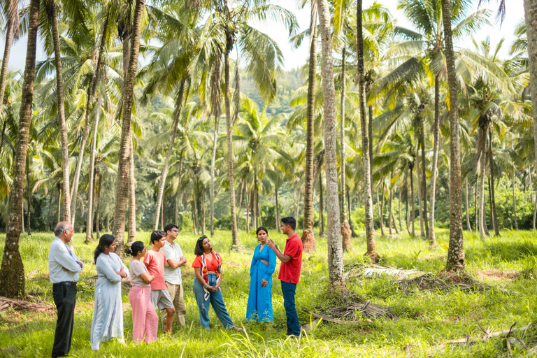 Noord-Goa: Mulgao Village en kokosnootplantage-ervaring