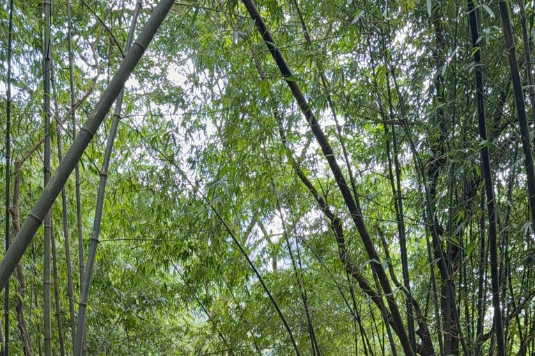 Tam Dao Private Day Tour With Misty Mountains, Cloud Views