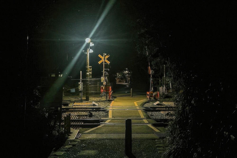 Kyoto Ghost Tour: Dark Tales, Legends, Bamboo Forest Night