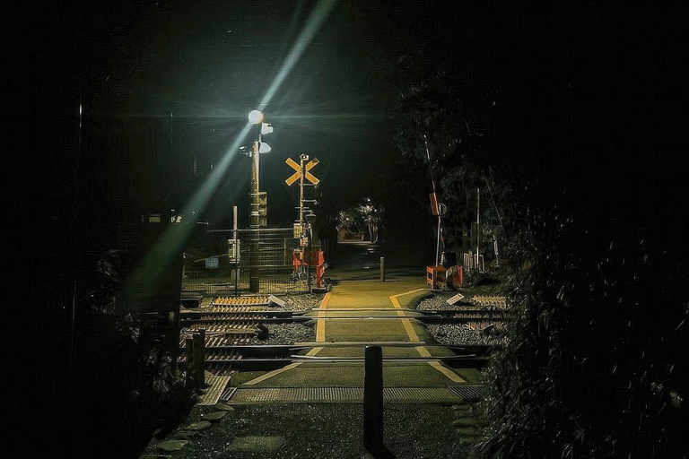 Kyoto Ghost Tour: Dark Tales, Legends, Bamboo Forest Night