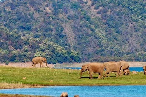 Excursión de 3 días al Parque Nacional de Jim CorbettViaje sin alojamiento