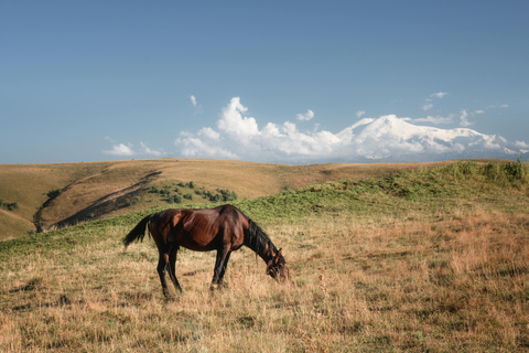 Quito: Full-Day Cotopaxi Horseback Tour & Volcano Views