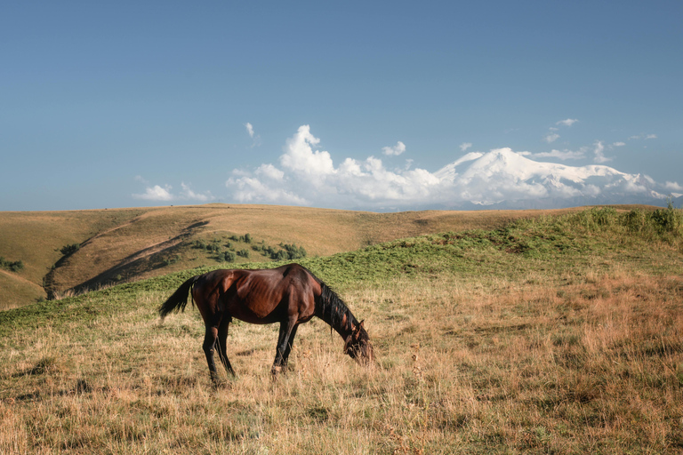 Quito: Full-Day Cotopaxi Horseback Tour & Volcano Views
