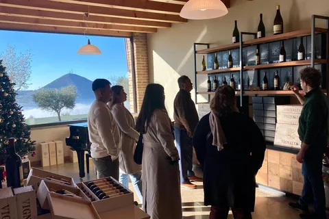 Private Venetian Hills Wine Tour