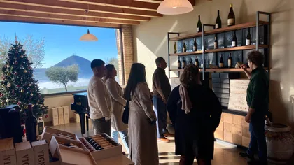 Private Venetian Hills Wine Tour