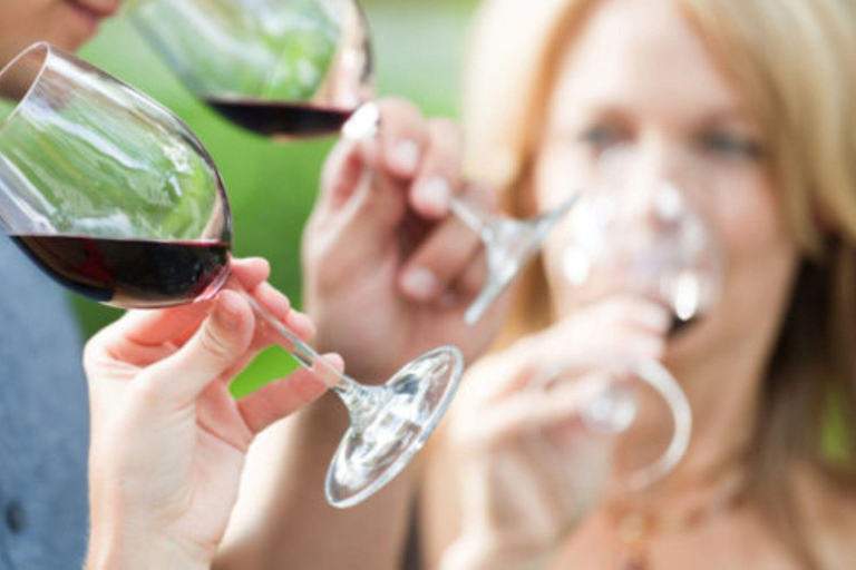 Apulien: Geführte Tour durch die Weinberge mit Weinverkostung