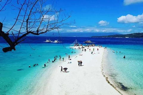 Cebu: Sumilon Bluewater Island Resort Day Use w Lunch
