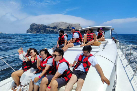 Lima: Palomino Island Marine Adventure Tour swimming with Sea Lions