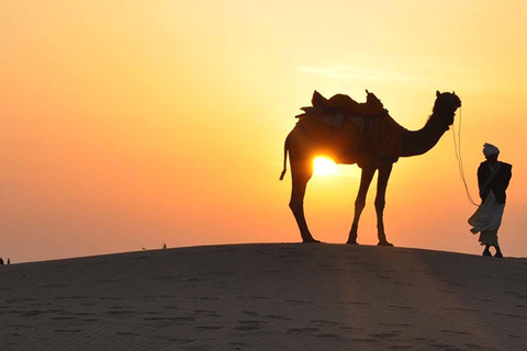 Doha: Prywatne pustynne safari z przejażdżką na wielbłądzie i sandboardingiem