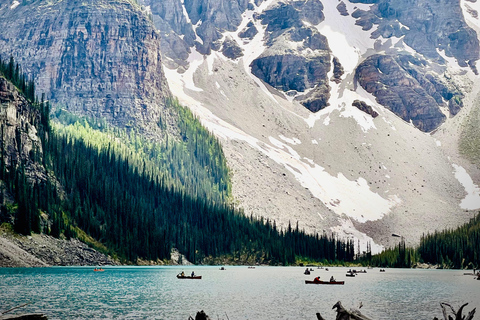 Calgary: Banff,Moraine,Emerald Lake and Canyon Day Trip