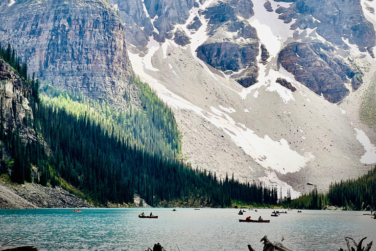Calgary: Banff,Moraine,Emerald Lake and Canyon Day Trip