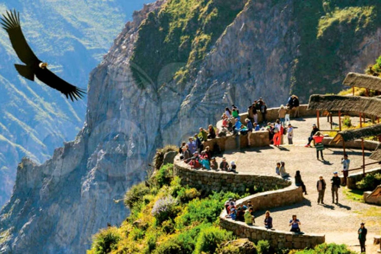 Arequipa: tour di 1 giorno del Canyon del Colca e dei bagni termali