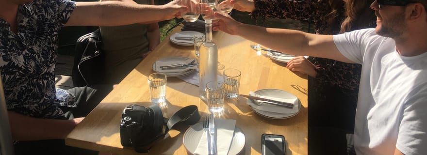 Wellington : visite privée des vignobles de Martinborough avec déjeuner