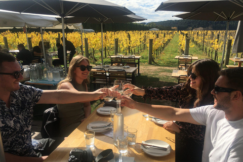Wellington: Martinborough Private Winery Tour with Lunch