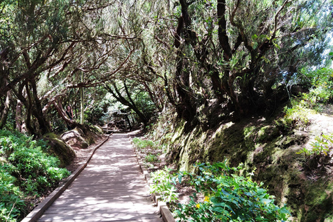 Puerto de la Cruz: Foresta di Avatar -Taganana-Teresitas+coda