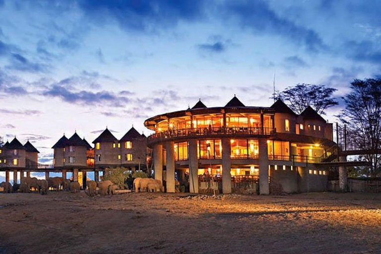 4 days Tsavo East, Amboseli and saltlick lodge safari