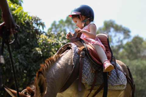 Experiência de passeios de burro para criançasExperiência em passeios de burro para crianças