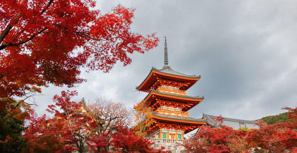Kyoto: Private Luxury Tour With Vehicle (Customizable)