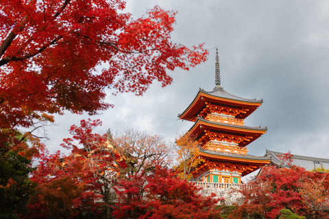 Kyoto: Private Luxury Tour With Vehicle (Customizable)