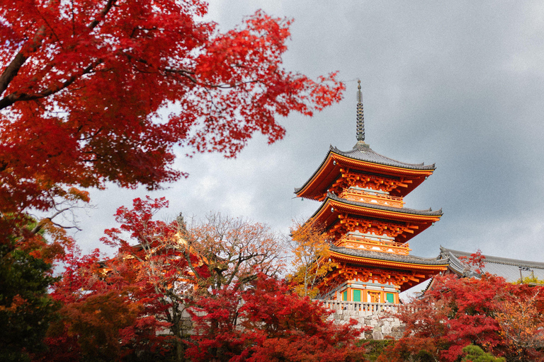 Kyoto: Private Luxury Tour With Vehicle (Customizable)