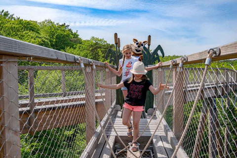 Usedom: Treetop Walk Adventure on Usedom Island