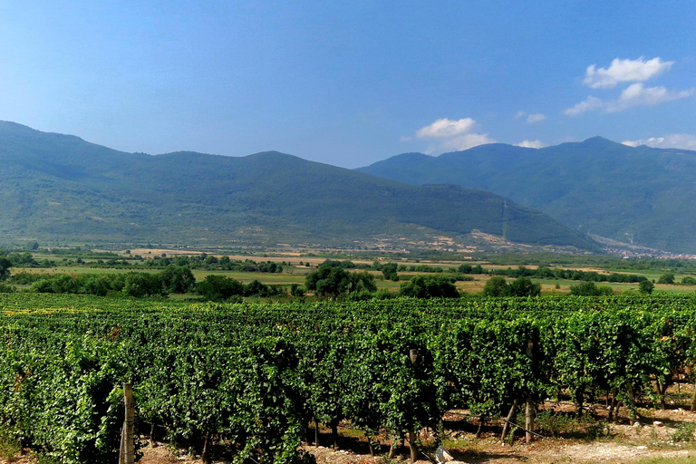 From Plovdiv: Wine Escape to the Rhodope Foothills